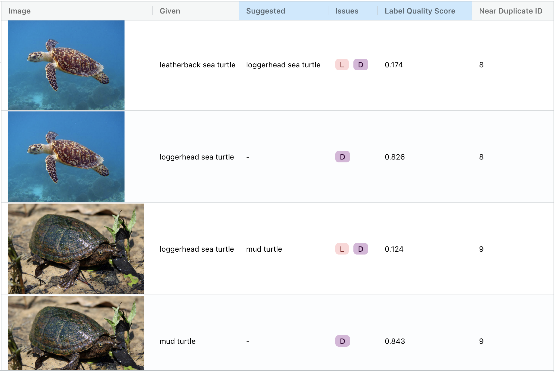 Duplicate images in ImageNet, with different labels