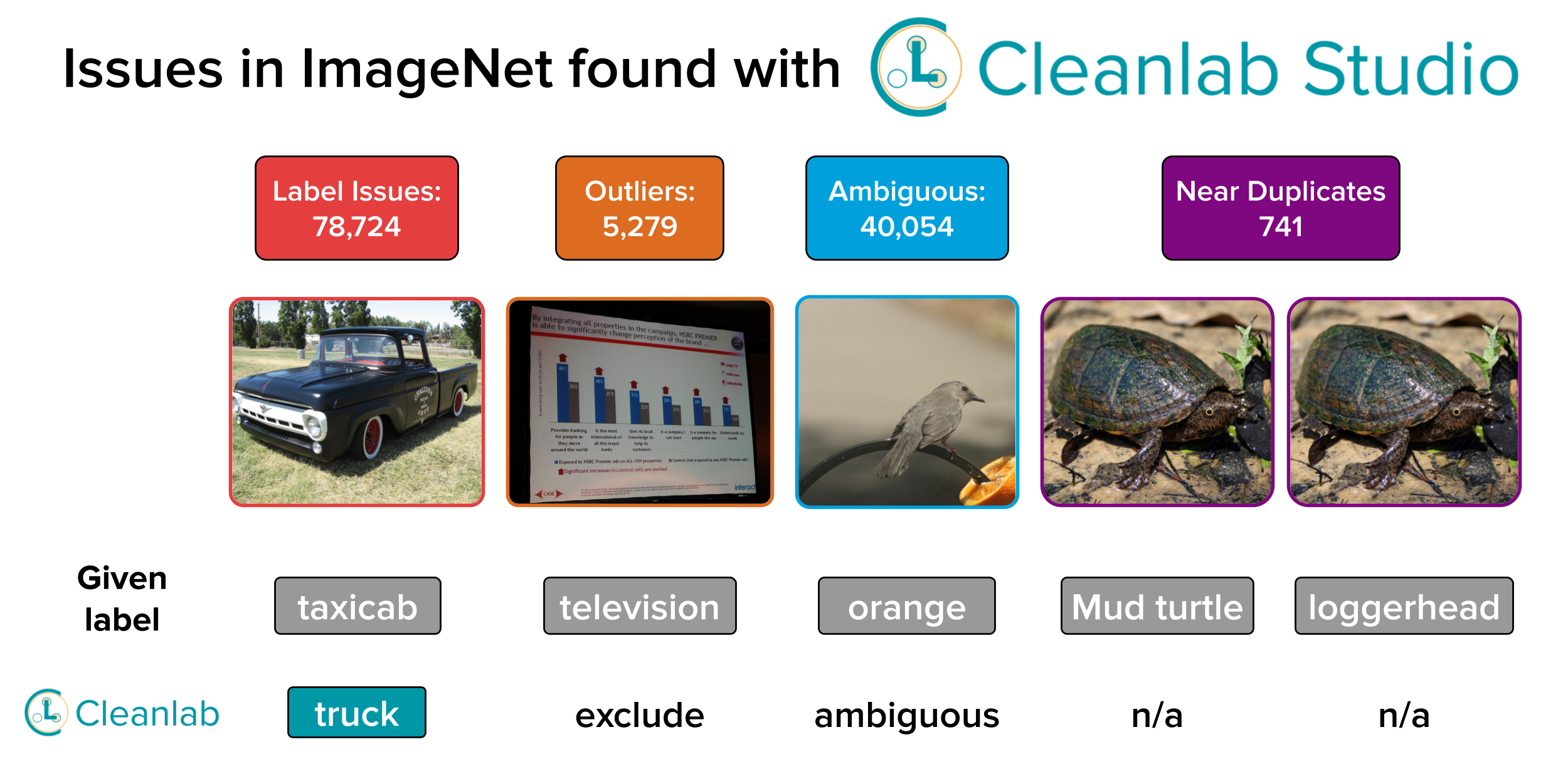 Cleanlab Finds Thousands of Errors in ImageNet